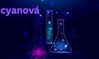 Cyanová: Unlocking the Secrets in the Industry of Tech