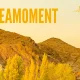 Unveiling the Magic of liveamoment.org