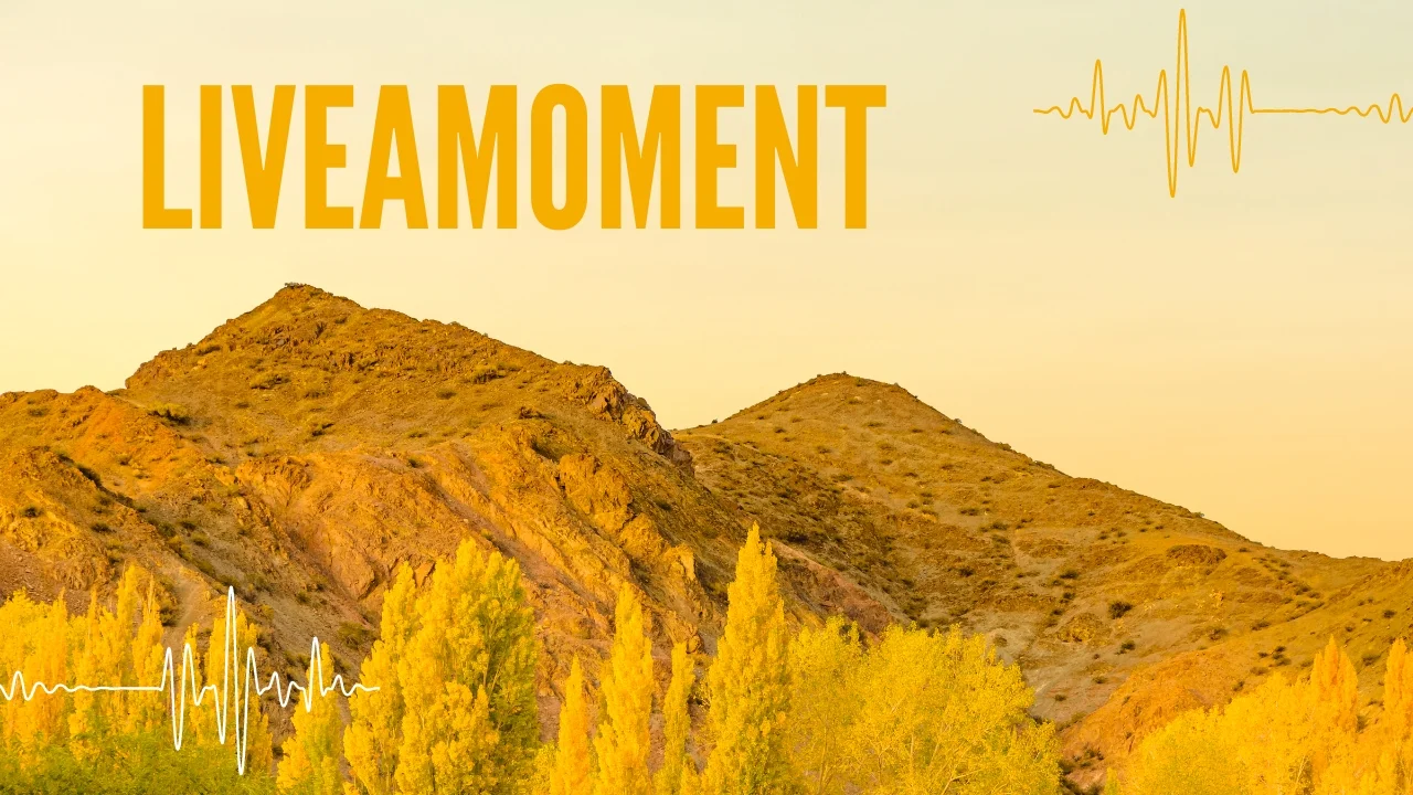 Unveiling the Magic of liveamoment.org