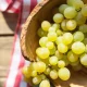 The Wonders of Grapes: Nutrition, Benefits, Side Effects, and More