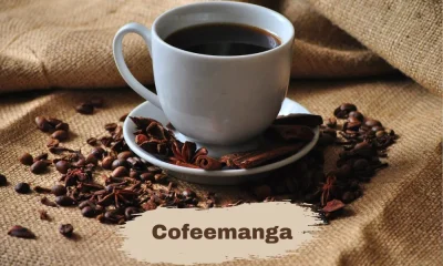 Comprehensive Outline for Article on "Coffeemanga"