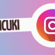 Exploring Picuki: A Comprehensive Guide to Instagram Content Management