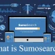 Unveiling SumoSearch: A Comprehensive Guide to the Ultimate Search Engine