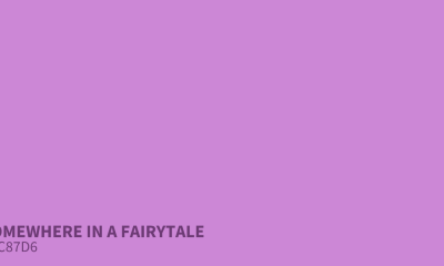 A Deep Dive Into the Hexadecimal Color Code: cc876d