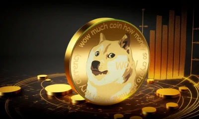 Drdoge: The Next Big Meme Coin Revolution in Crypto